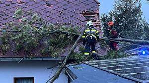 Umstürzende Bäume beschädigten, wie hier im Bezirk Hartberg, Dächer