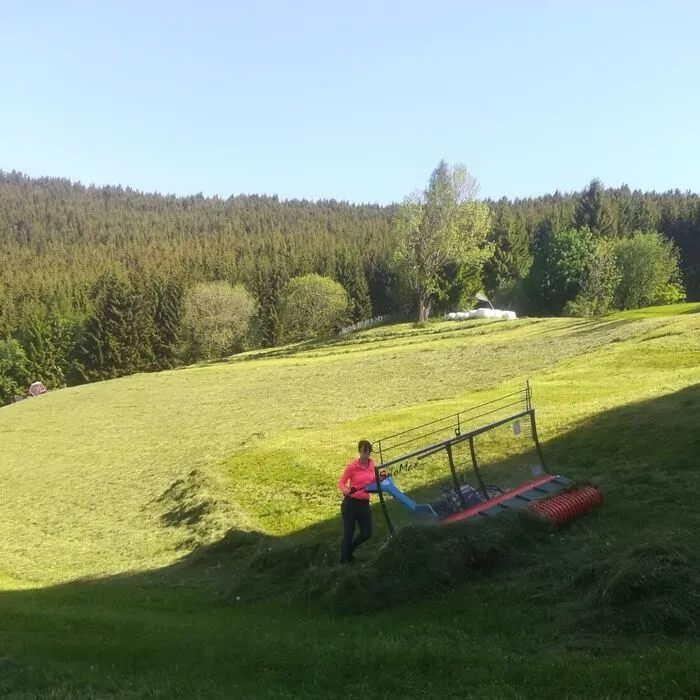 Eine Frau mäht eine große grüne Wiese mit einem landwirtschaftlichen Gerät