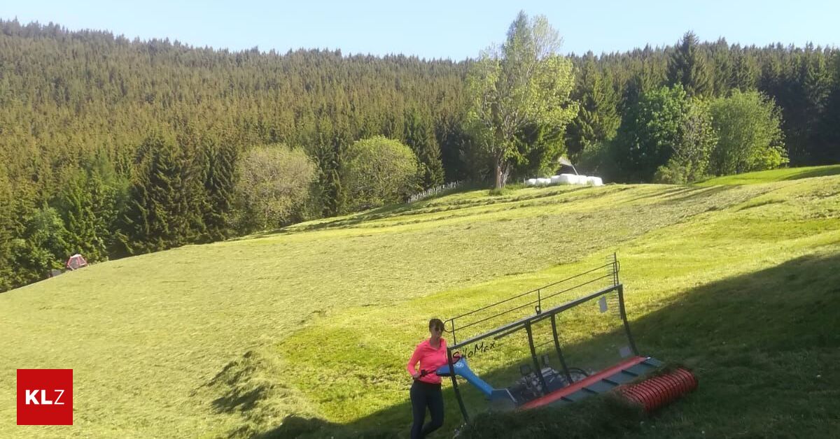 Quereinsteigerinnen-40-Prozent-der-B-uerinnen-haben-andere-Ausbildung