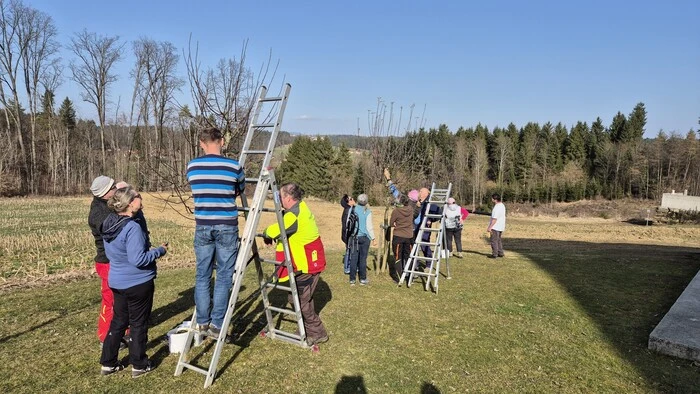 Die Teilnehmer übten das Gelernte gleich selbst