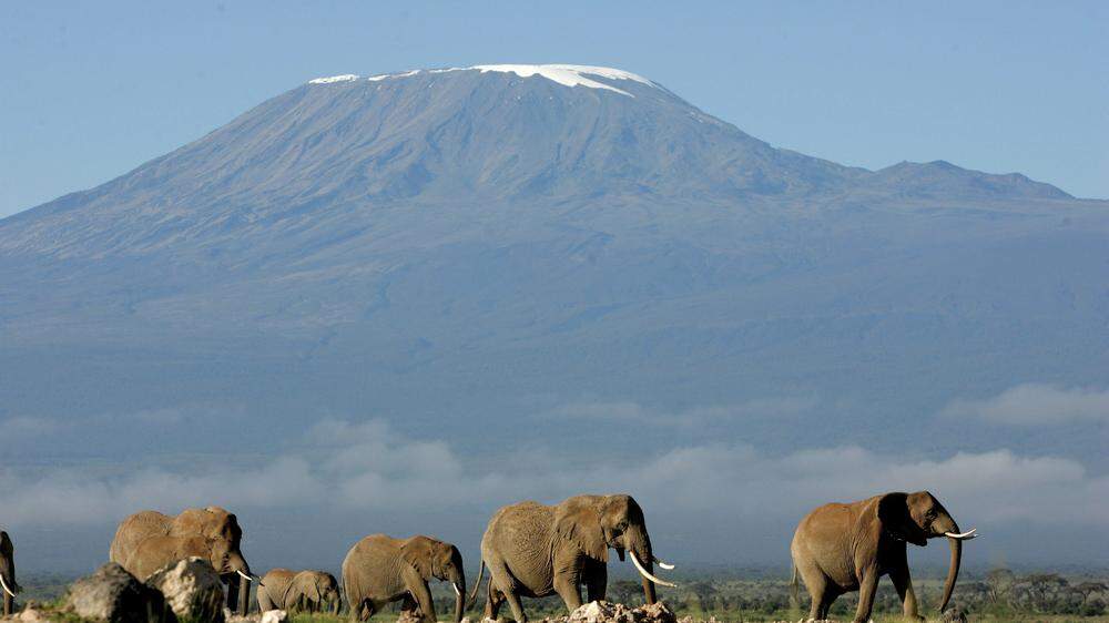 Der Kilimandscharo ist 5895 m hoch. Schon ab einer Höhe von 2500 m kann eine Höhenkrankheit auftreten 