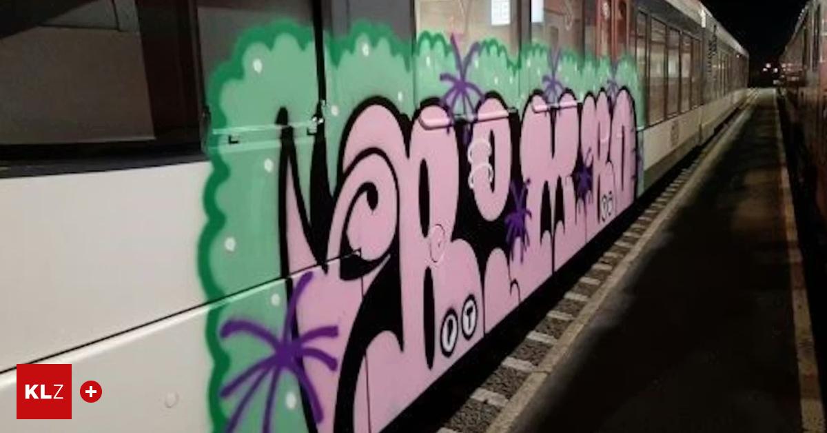 Erwischt-Kunstaffiner-Sprayer-will-bespr-hte-Z-ge-nur-beobachtet-haben