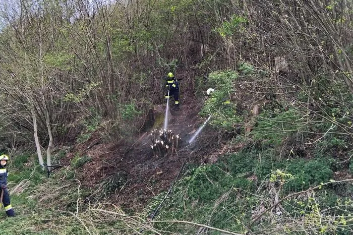 In Mitterlobming konnte ein Waldbrand gerade noch verhindert werden