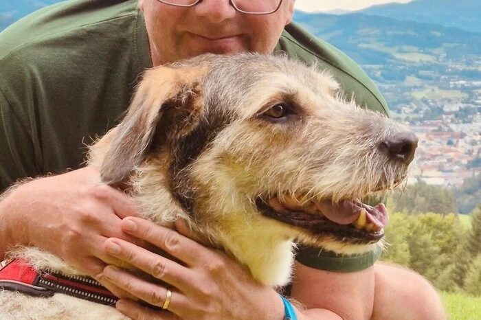 Lieblingsbeschäftigung von Staatssekretär Jörg Leichtfried (SPÖ) und seinem Hund Tobi: ausgedehnte Spaziergänge in der Obersteiermark