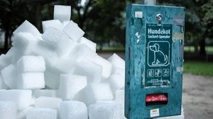 Zerdrückte Zuckerwürfel wurden in Hundekotsackerl abgefüllt