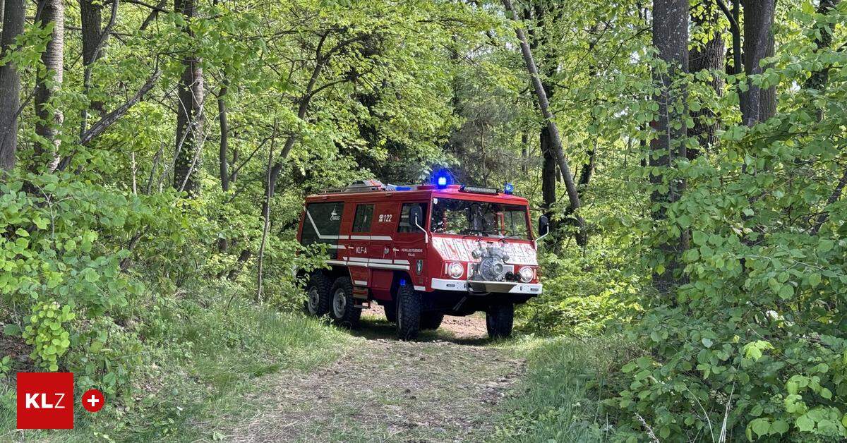 Pöllauberg: Cycling accident in the forest: Fire brigade fetched the injured