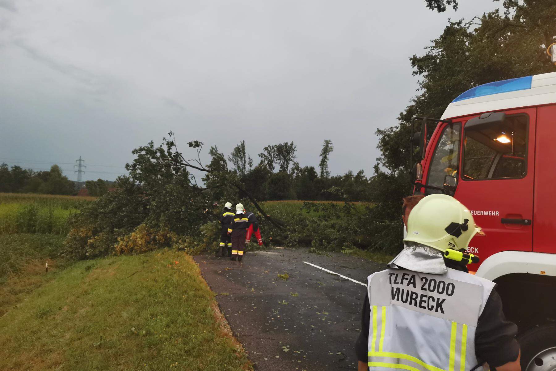 Abgedeckte Dächer, umgestürzte Bäume: Erneut Unwetter in der Steiermark