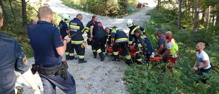 Mit der Trage wurde die verletzte Person aus dem Waldstück geborgen