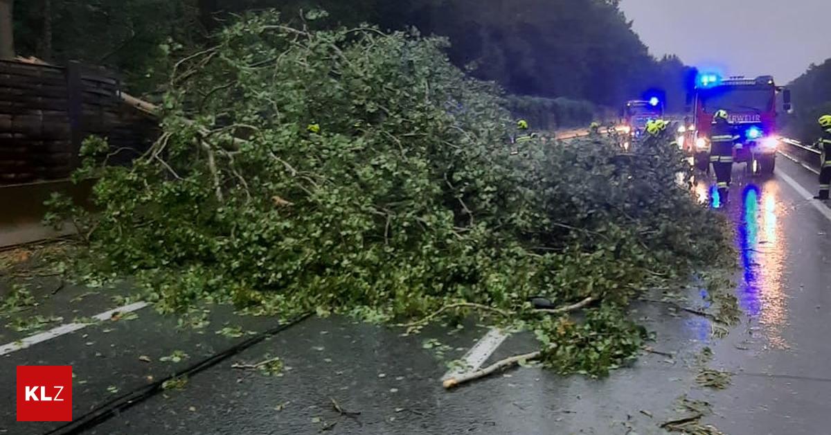 Gewitter und Sturm: Umgestürzter Baum blockierte die Südautobahn