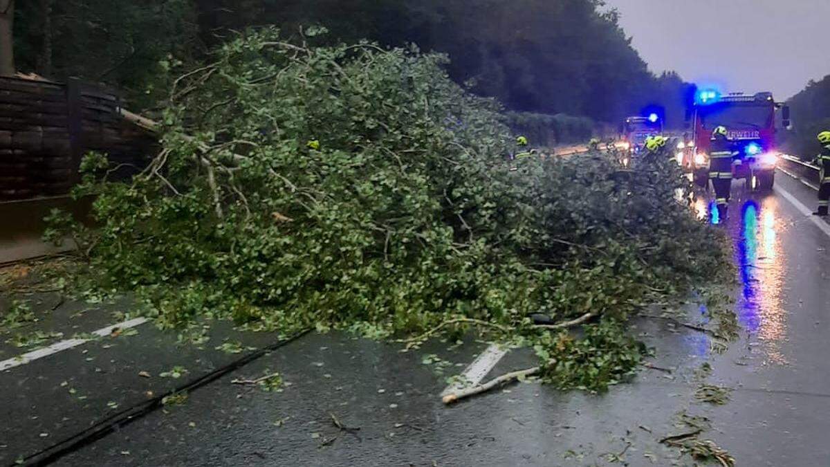 Einsatz auf der „Süd“