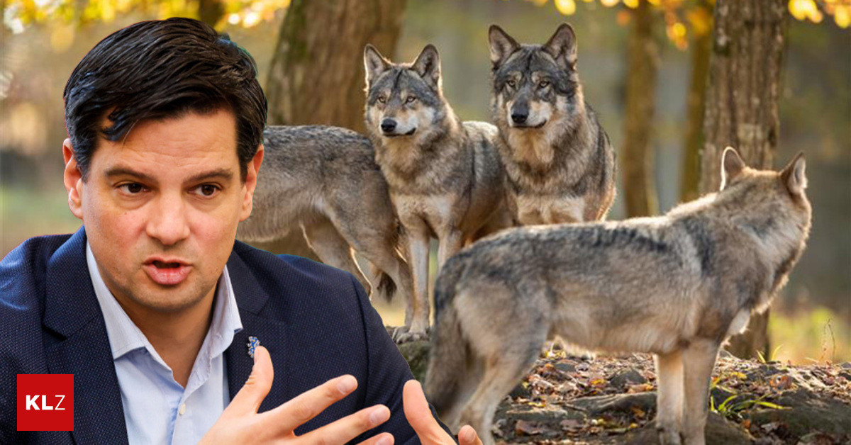 Geharnischte-Kritik-von-FP-Landesrat-nach-Beschwerden-ber-Umweltanwalt