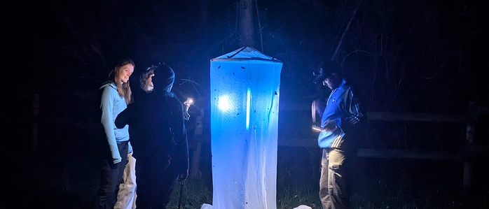 Damit nachtaktive Insekten bestimmt werden können, dürfen Lichtfallen mit UV-Lampen aufgestellt werden