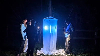 Damit nachtaktive Insekten bestimmt werden können, dürfen Lichtfallen mit UV-Lampen aufgestellt werden