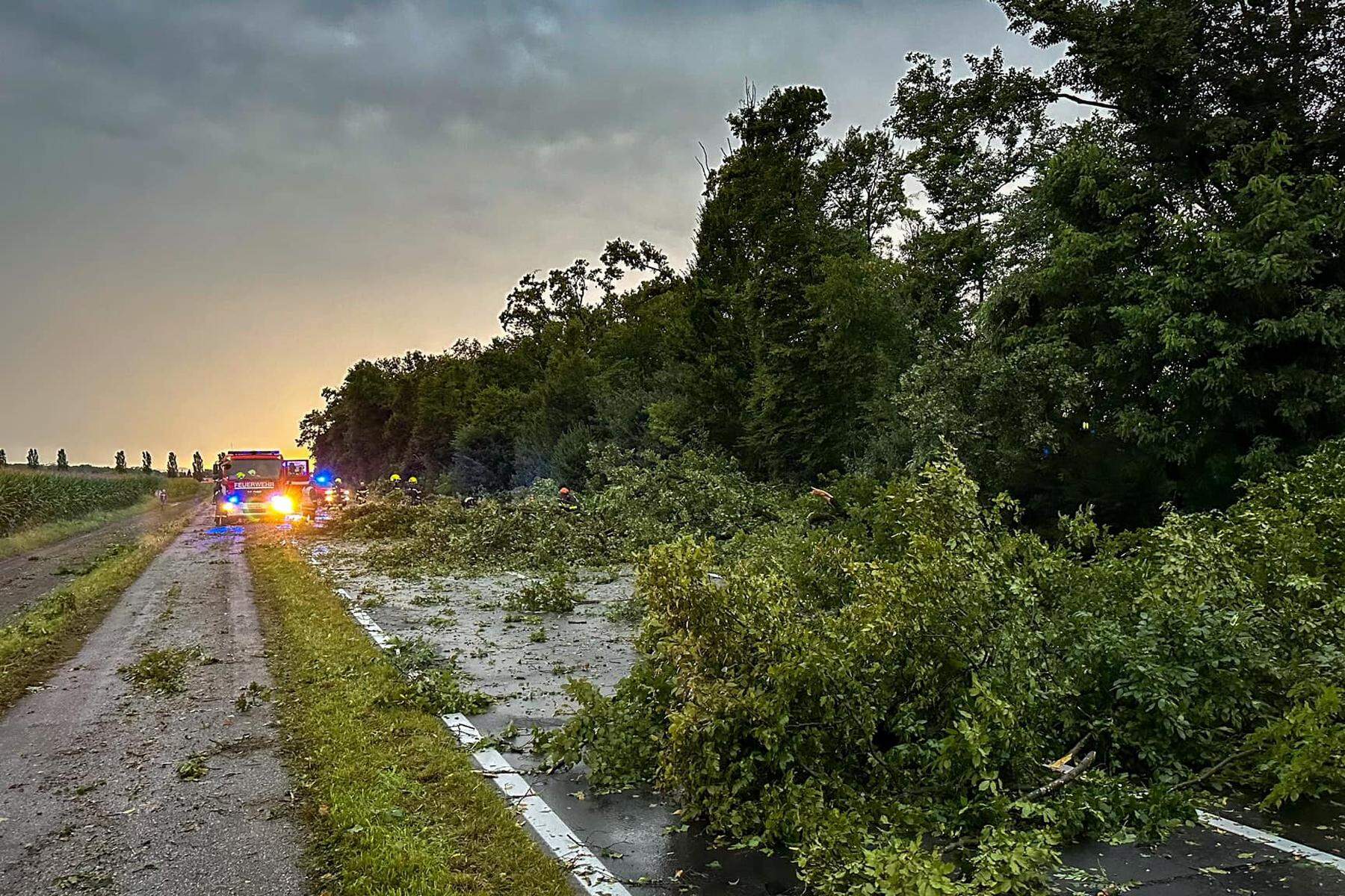 Am Hochwasser-Jahrestag „wieder im Katastropheneinsatz“