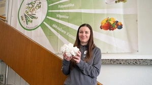 Lila Gall nutzt Enzyme als natürliche Werkzeuge