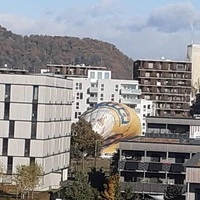 In Graz sorgte ein Heißluftballon für Aufsehen, der im Siedlungsgebiet landete  
