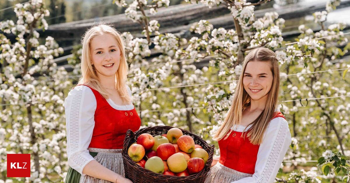 Das-ist-die-Kr-nung-Die-Steiermark-hat-zwei-neue-Obsthoheiten