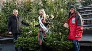 Von links nach rechts: LK-Präsident Andreas Steinegger, buschiger Christbaumklassiker, Christbaumprinzessin Anna Friedl, eleganter Etagenbaum, Obfrau Martina Lienhart 