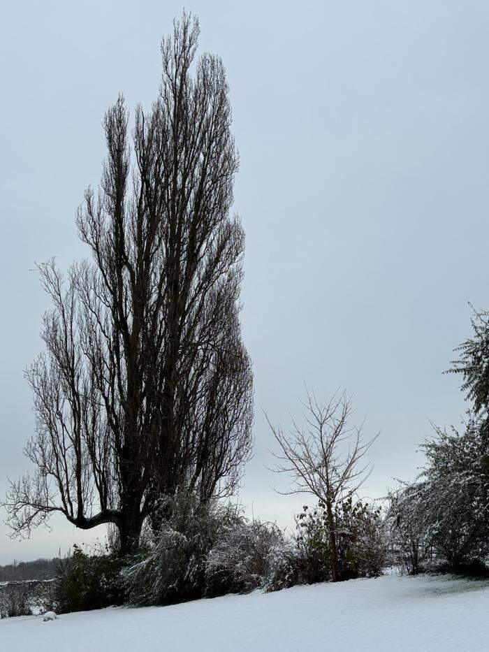 Erste Schneedecke in der Südsteiermark bei Ehrenhausen