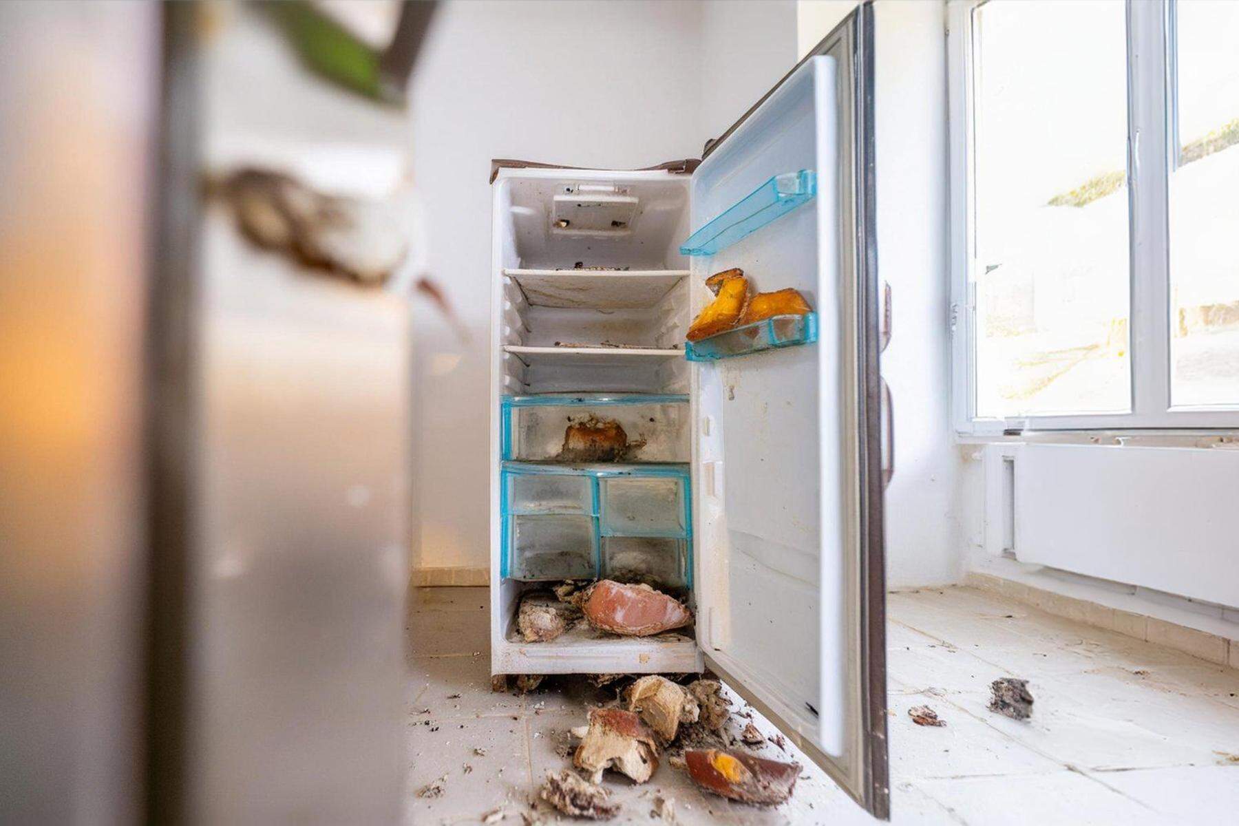 Wohnung vergammelt: Mieter schockiert: „Als ich den Kühlschrank öffnete, war ich drei Tage krank“
