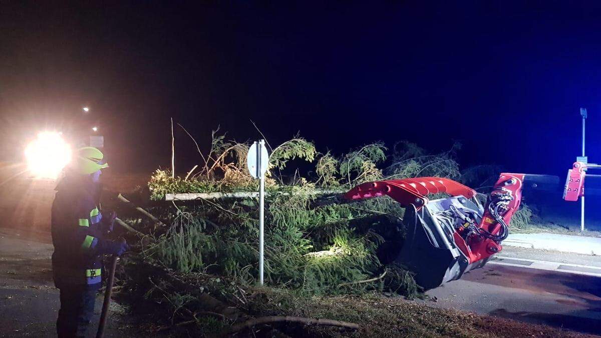 Die Feuerwehr Eisbach-Rein rückte Donnerstagfrüh zu einer Baumbergung aus