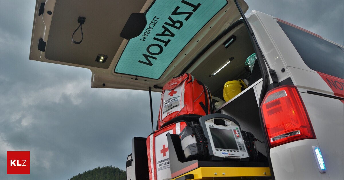 Auf-eigenem-Grundst-ck-Steirer-68-wurde-unter-Erdreich-begraben-und-starb