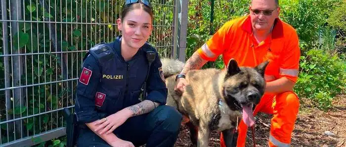 Diese beiden Ausreißer wurden sicher von der Autobahn gebracht