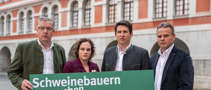 Die Lage der Schweinebauern ist prekär, so die Landwirtschaftskammer