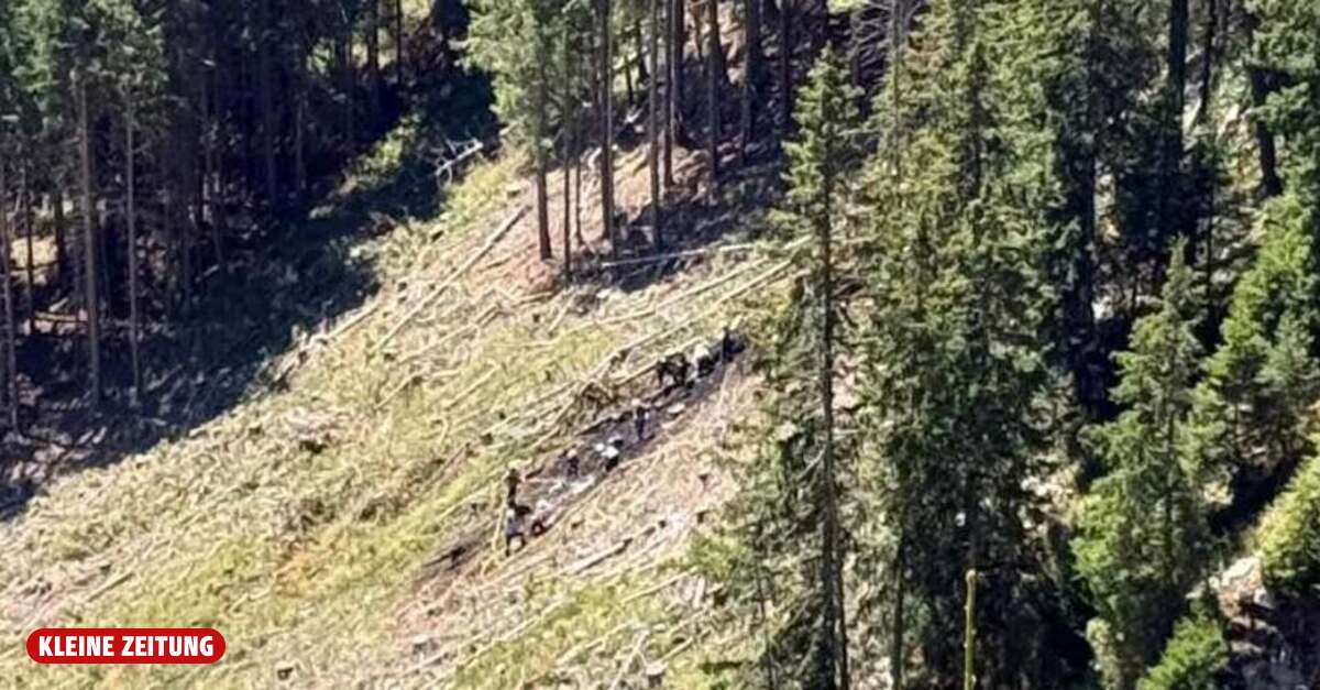 Almbesucher begannen Waldbrand bei Aflenz zu löschen