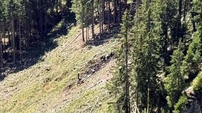 Der Brandort liegt in einem steilen bewaldeten Hang