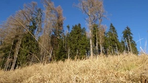 Bild vom trockenen Pleschkogel im Dezember. Einer der vier Tausender im Grazer Umland, zu denen auch der Mühlbachkogel zählt, wo zuletzt ein großer Waldbrand tobte
