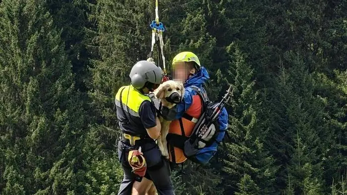 Die schwer verletzte Hündin „Nala“ konnte per Hubschrauber geborgen werden.