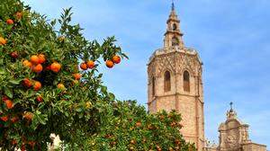 Die Kathedrale von Valencia und die für die Region typischen Orangenbäume