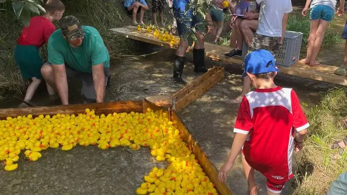 Die Enten hatten es gut ... 