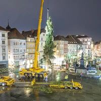 Ho ruck! Die rund 28 Meter hohe und etwa 150 Jahre alte Fichte wurde Montagfrüh mit dem Kran aufgestellt
