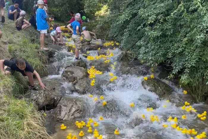 ... das Rennen der kleinen gelben Glücksbringer im Bach verfolgten Kinder wie Erwachsene fröhlich bis ungeduldig vom Ufer und manchmal auch im Wasser.