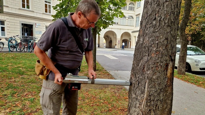 Was genau hat Robert Grill hier in der Erzherzog-Johann-Allee vor?