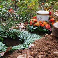 Bei einer Baumbestattung wird eine ökologisch abbaubare Urne mit der Asche des Verstorbenen im Wurzelbereich eines Baumes beigesetzt