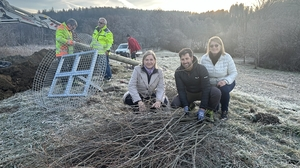 Für den Storchenhorst wurde ein eigener Mast aufgestellt
