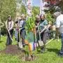Baumpflanzung mit Bürgermeisterin Elke Kahr (2. v. r.), Vizebürgermeisterin Judith Schwentner (3. v. l.) und Francesco Foletti (r.), unterstützt von Gärtnerin Kerstin Winkler (l.) und Klusemann-Schülerin Sylvia Bolena