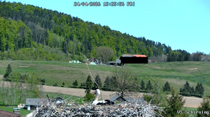Blick ins Storchennest am Dach der VS Schirning