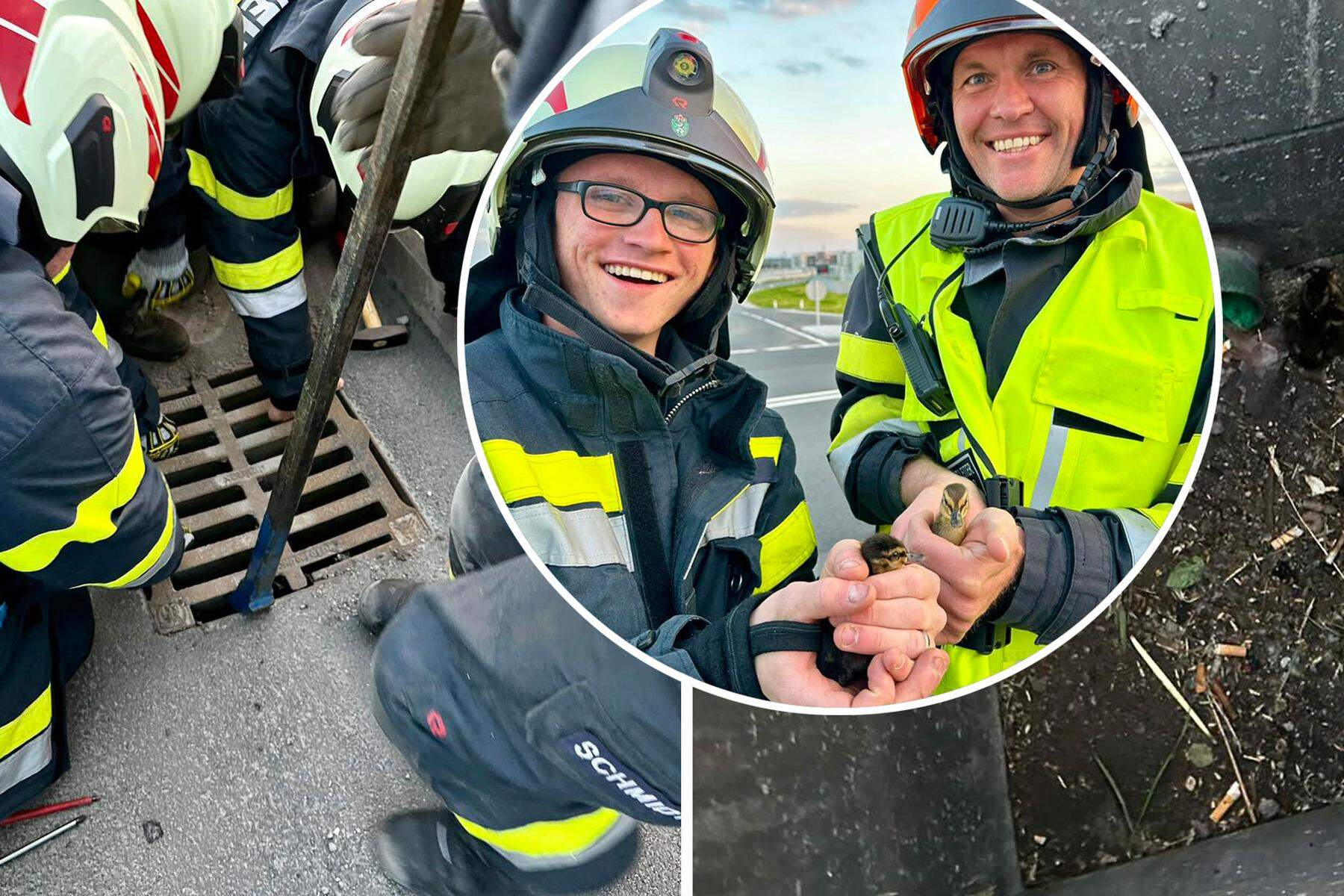 „Rettung in Federn“: Feuerwehr Zettling rettete Entenküken aus Gulli