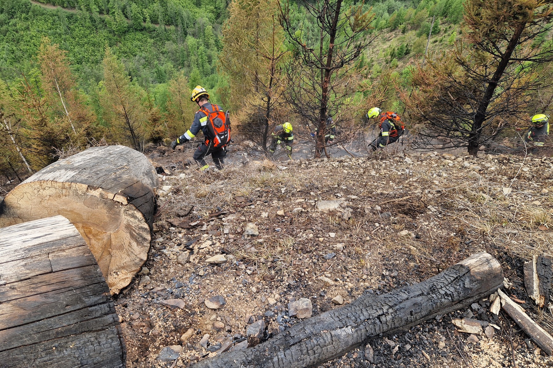 Grazer Umland: „Blutende Herzen“, aber auch ganz viel Solidarität im steirischen Waldbrandgebiet