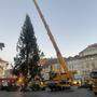 In der Nacht auf Montag wurde der Christbaum nach Graz gebracht