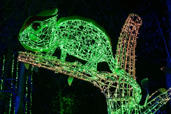 Ab 17. November ist Lumagica geöffnet. Tickets gibts unter www.lumagica.com/frohnleiten