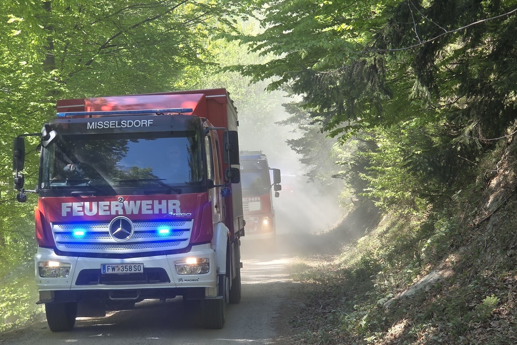 Anhaltende Trockenheit: Gemüsebauern brauchen dringend Regen, Kammer warnt vor weiterer Waldbrandgefahr