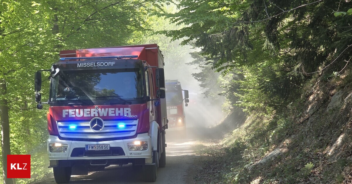 Anhaltende-Trockenheit-Gem-sebauern-brauchen-dringend-Regen-Kammer-warnt-vor-weiterer-Waldbrandgefahr