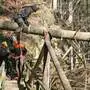 Bundesheereinsatz in der Kesselfallklamm bei Aufräumarbeiten nach einem Sturm
