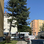 An der Kreuzung Posenergasse kam es zum Unfall. Im Hintergrund sieht man die Straßenbahn (eine silberne Variobahn), davor ein Rettungs- und ein Polizeiauto