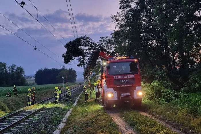 In der Gemeinde St. Martin stürzte ein Baum auf die Oberleitung der GKB-Strecke